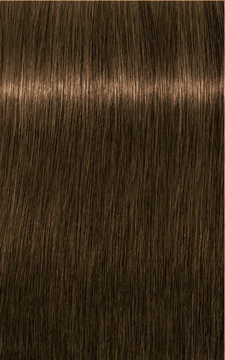 Schwarzkopf Igora Royal Absolutes - 4-60 Châtain moyen marron naturel