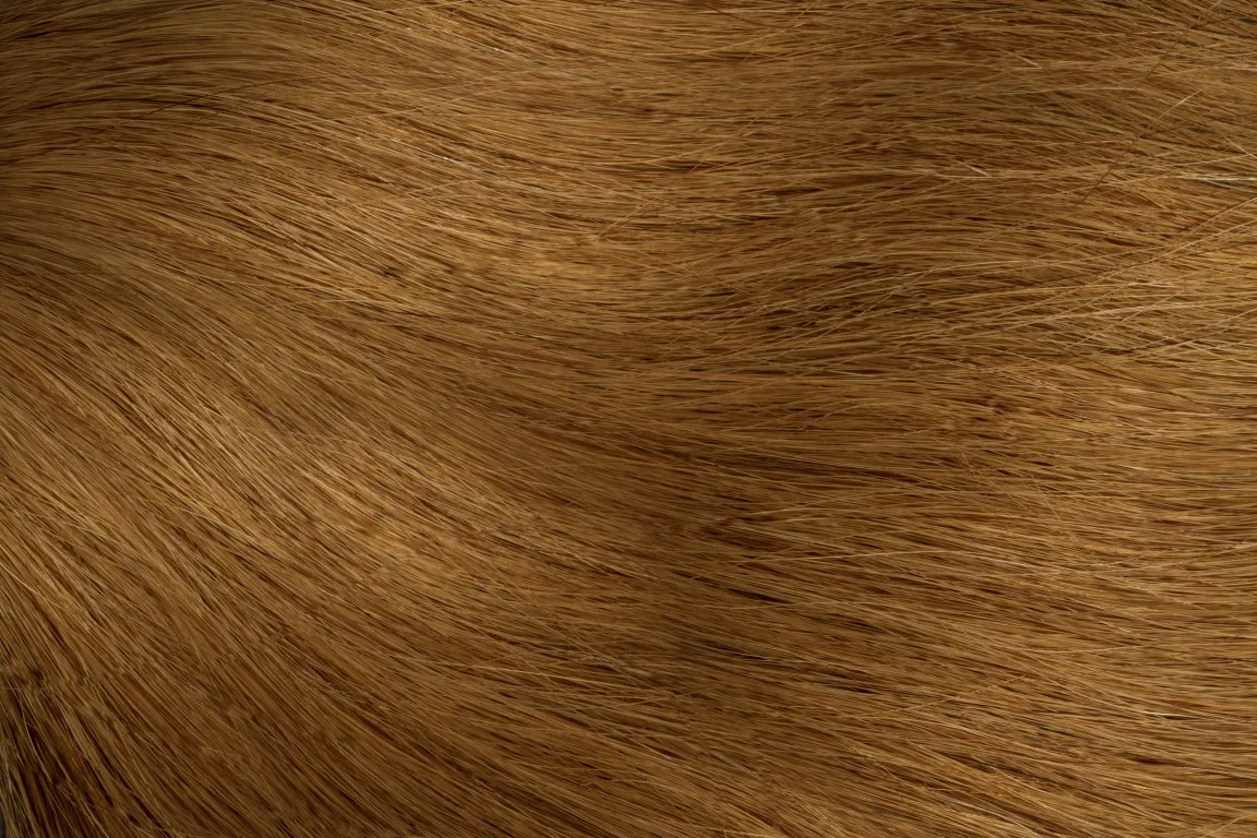 GoldFever Hair Tapes 45 cm