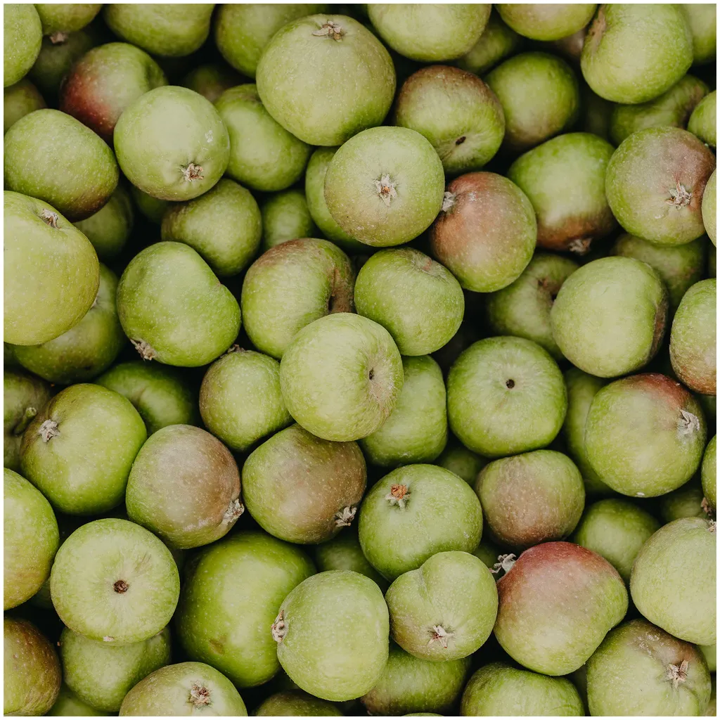 Rausch Anti-Pollution-Spray avec pomme suisse