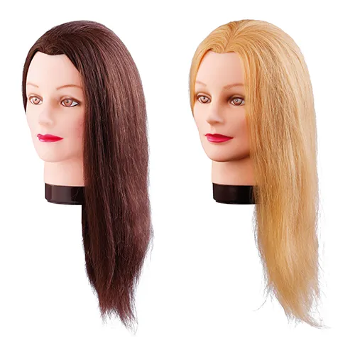 Zwei Friseur-Übungsköpfe mit langen Haaren in Braun und Blond