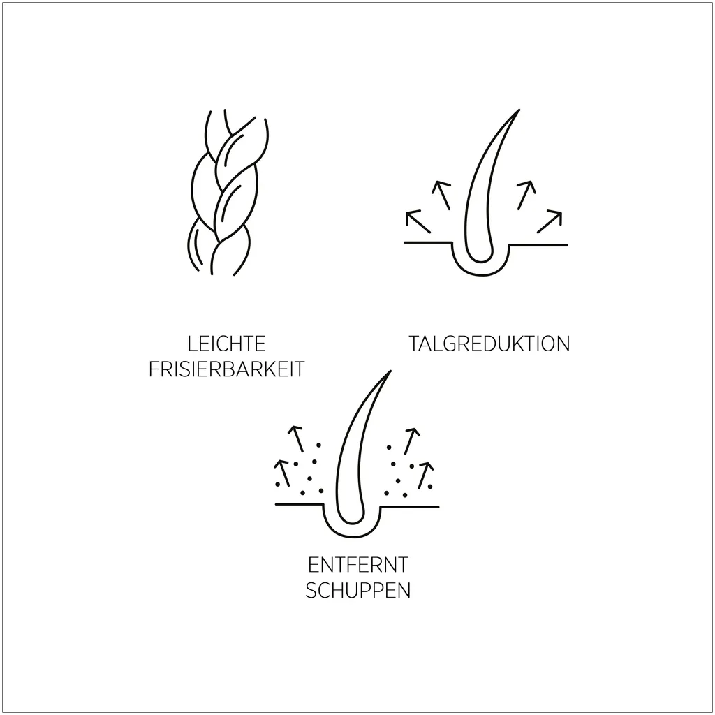 System Professional Lipid Code Purify Shampooing