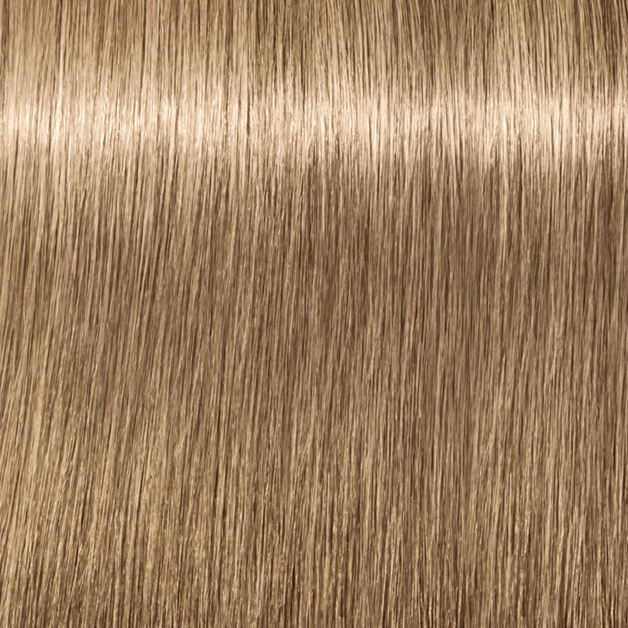Schwarzkopf Igora Royal  - 1-0 Noir