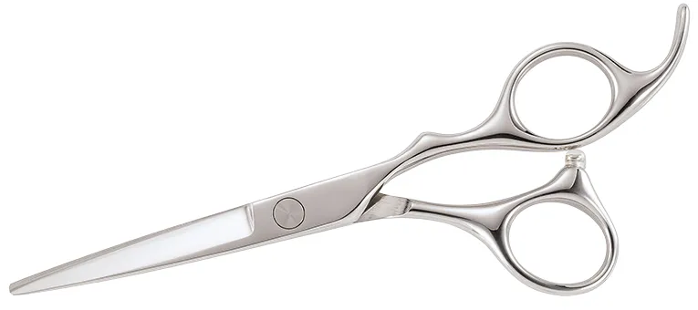 Xanitalia Stage Pro Set Offset Silver 5,5" Set professionnel de ciseaux de coiffure