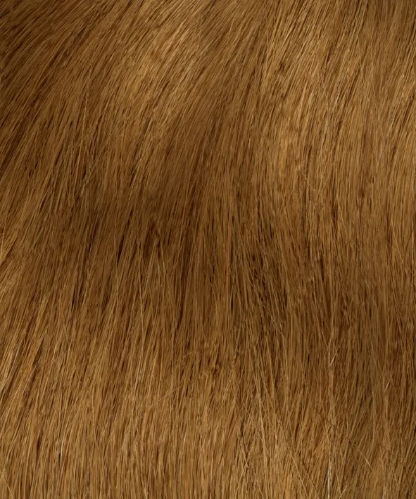 Gold Fever Extensions 45 cm