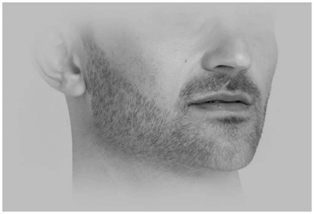 Remington Graphite G4 Tondeuse Multifonction PG4000