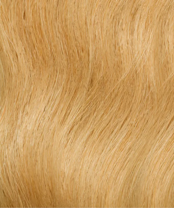 Gold Fever Extensions 45 cm