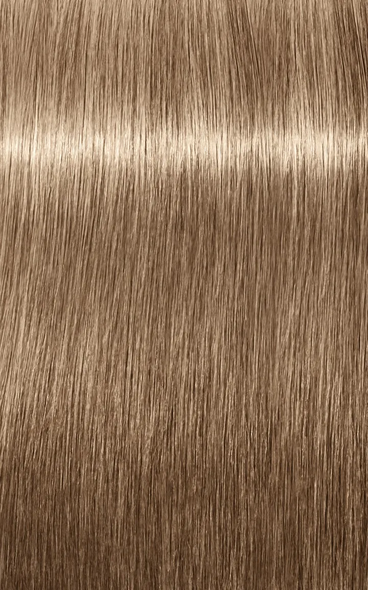 Schwarzkopf Igora Royal Absolutes - 4-60 Châtain moyen marron naturel