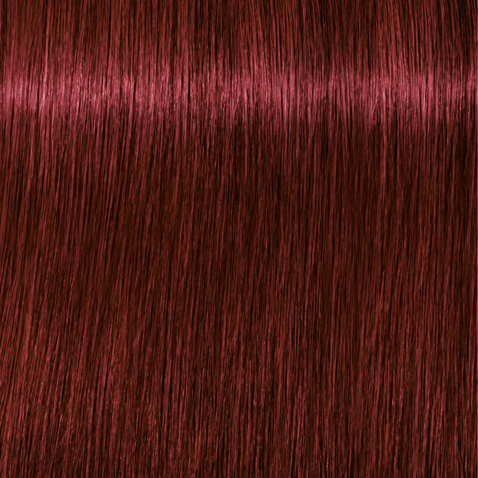 Schwarzkopf Igora Royal  - 1-0 Noir