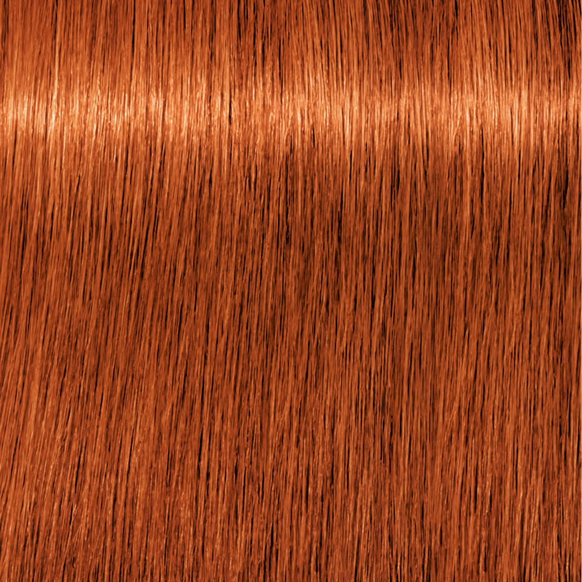 Schwarzkopf Igora Royal  - 1-0 Noir