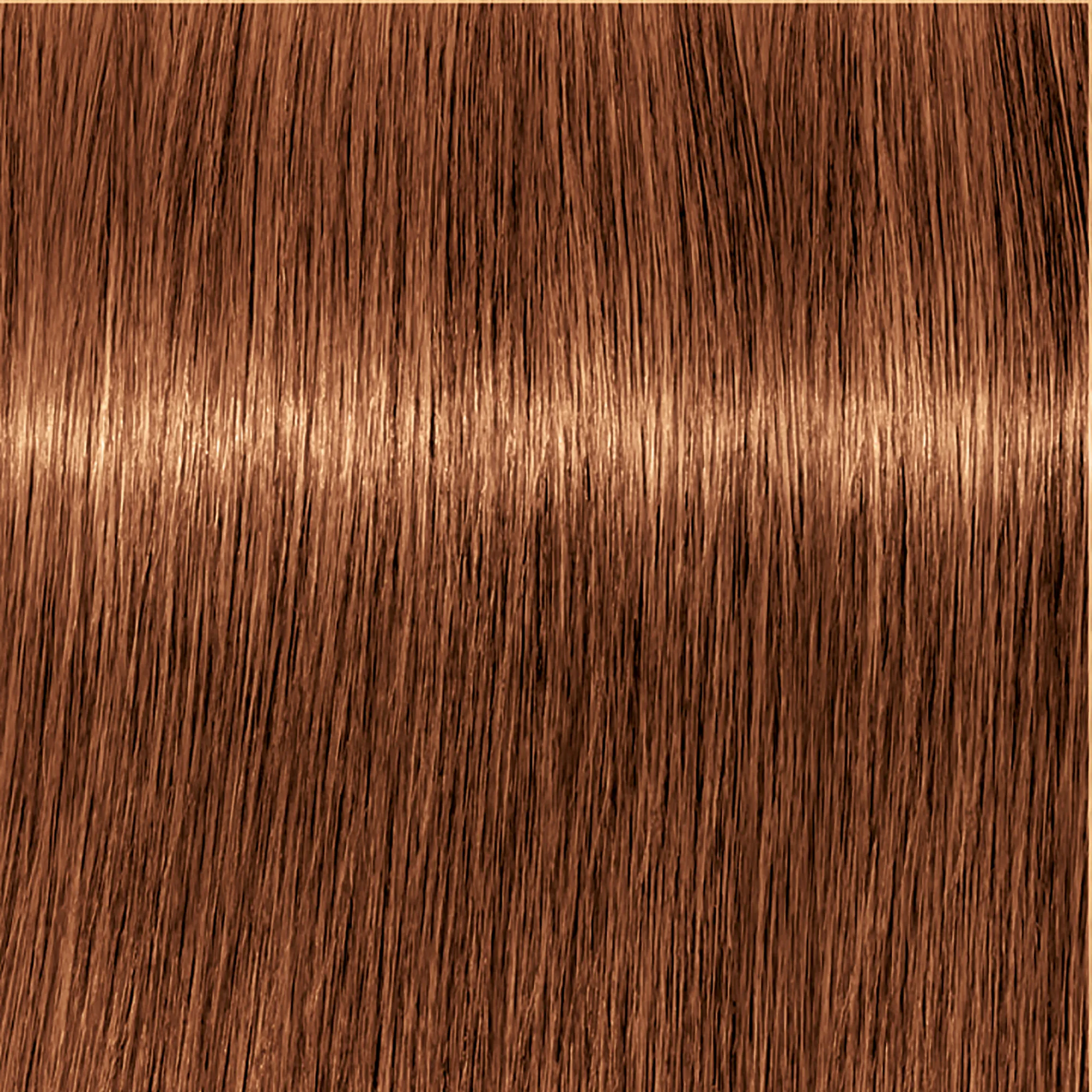 Schwarzkopf Igora Royal  - 1-0 Noir
