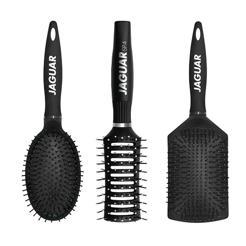 Jaguar Solingen Brosses