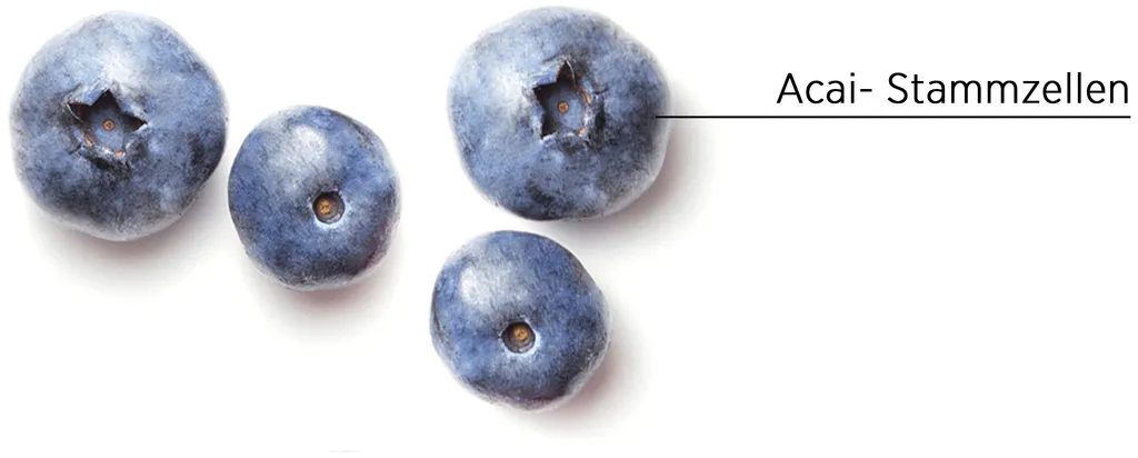 System Professional Lipid Code Inessence Shampooing - 250 ml