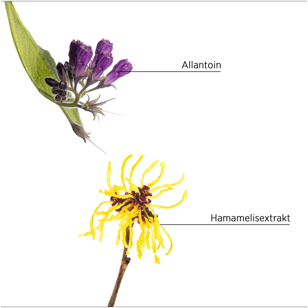 System Professional Lipid Code Purify Masque