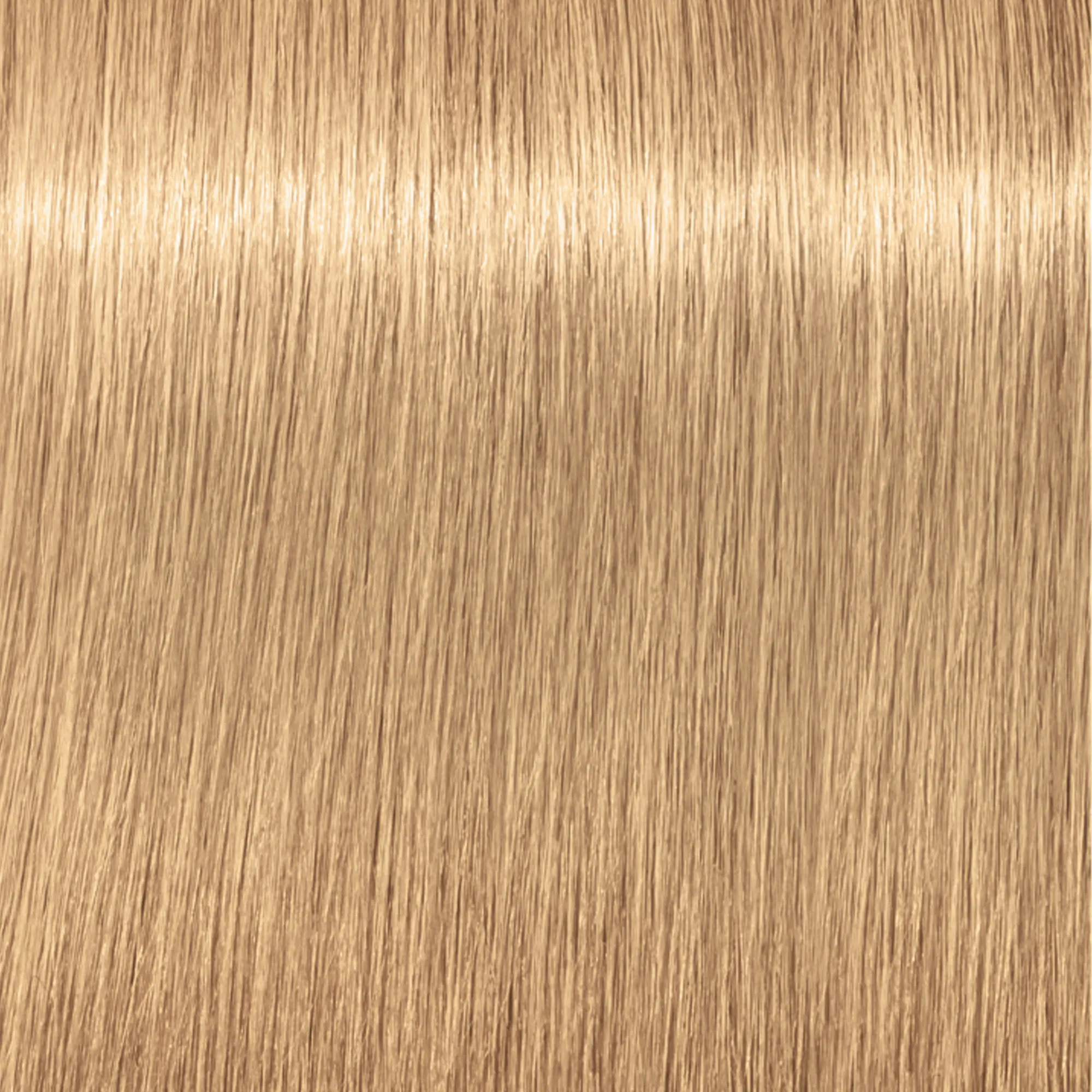 Schwarzkopf Igora Royal  - 1-0 Noir
