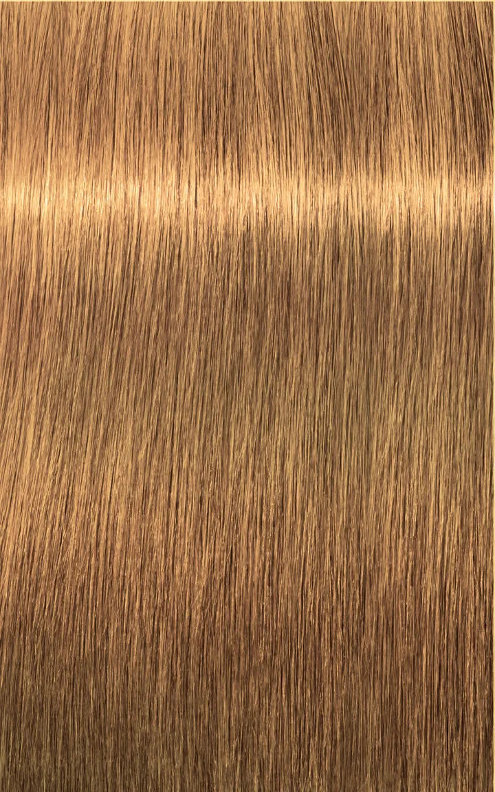 Schwarzkopf Igora Royal Absolutes - 4-60 Châtain moyen marron naturel