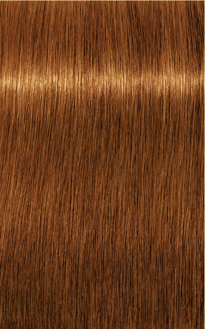 Schwarzkopf Igora Royal Absolutes - 4-60 Châtain moyen marron naturel