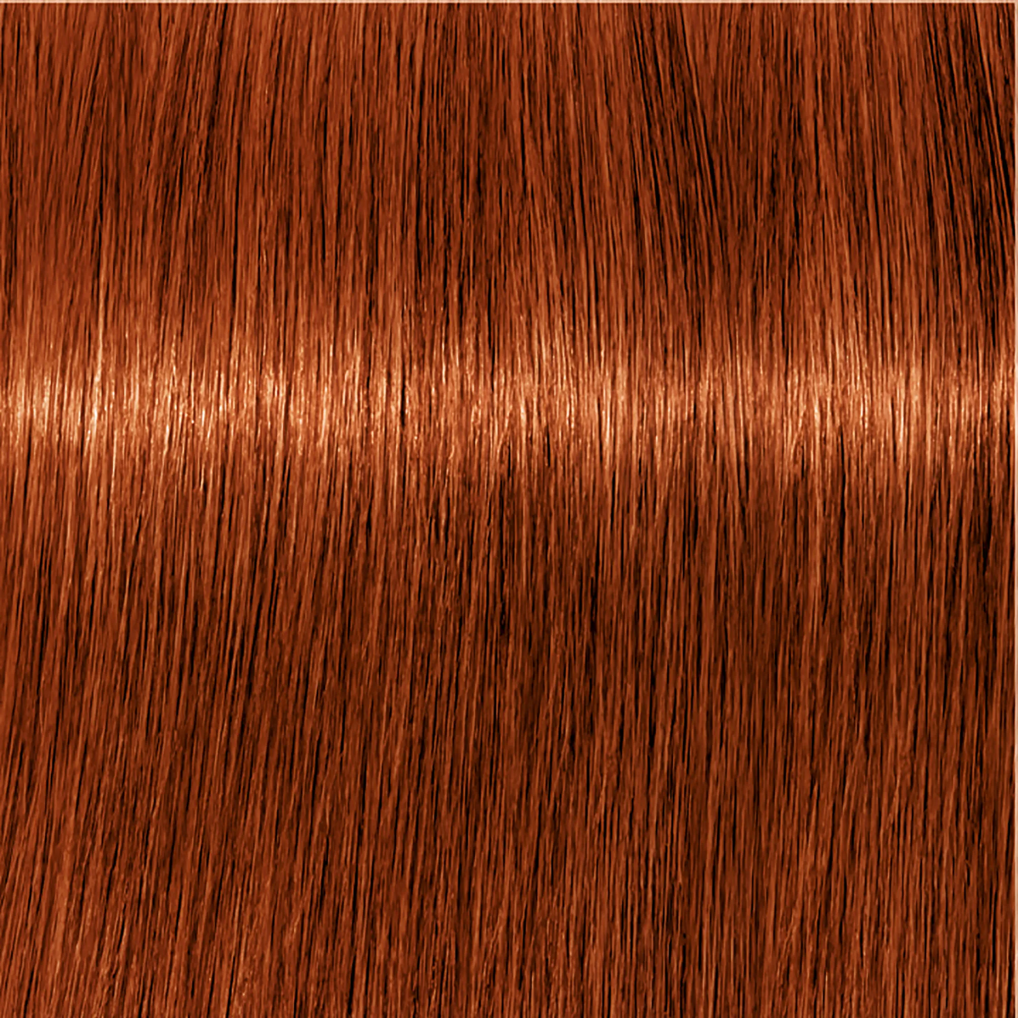 Schwarzkopf Igora Royal  - 1-0 Noir