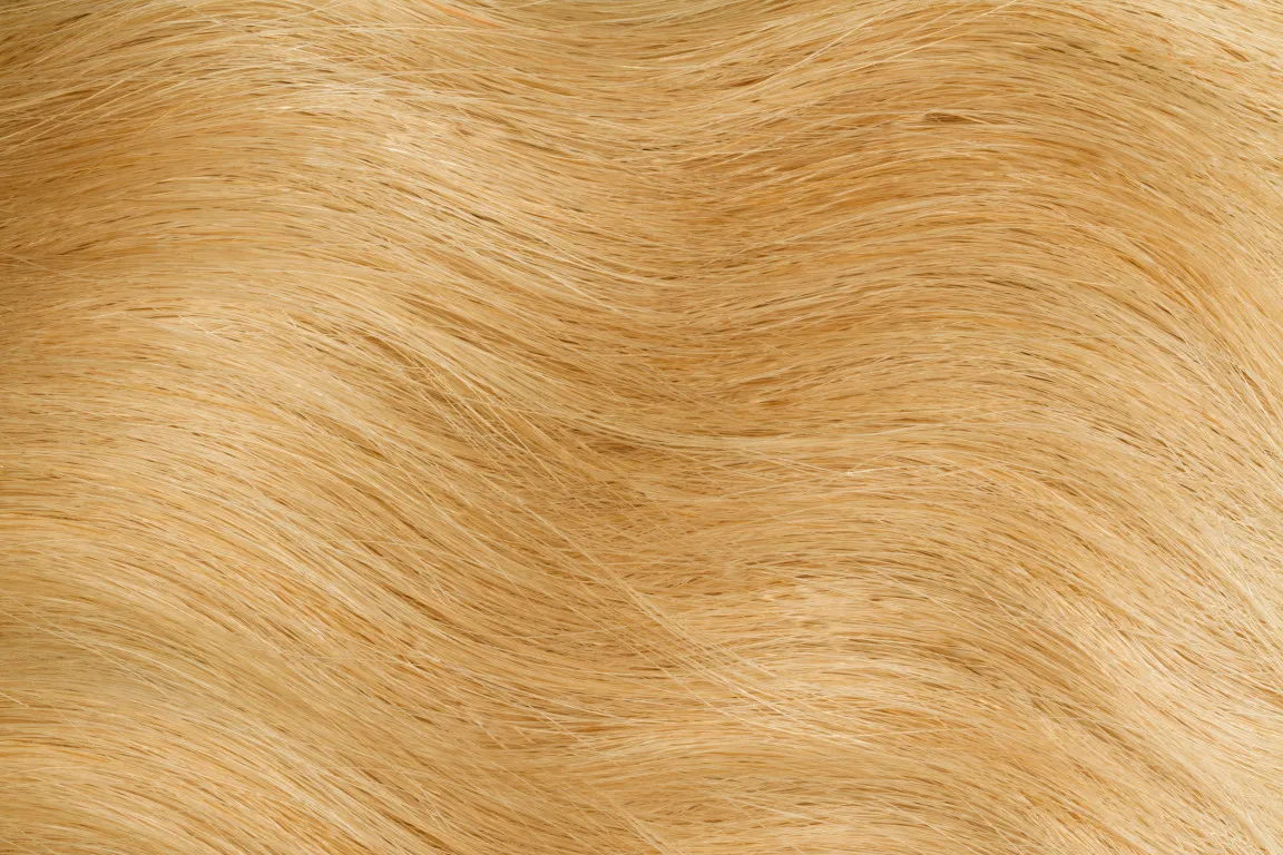 GoldFever Hair Tapes 45 cm