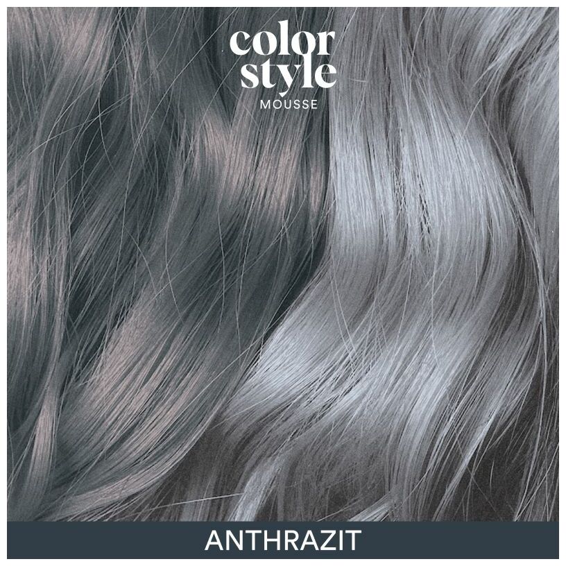 Indola Color Style Mousse - Silver
