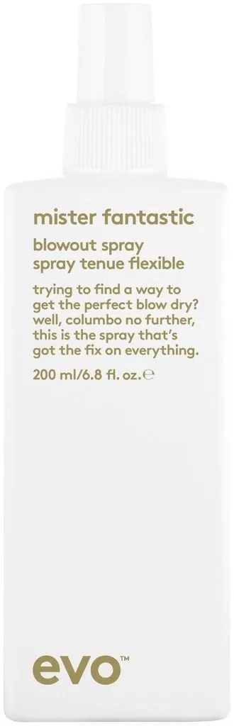 evo Mister Fantastic Spray brushing Tenue Flexible