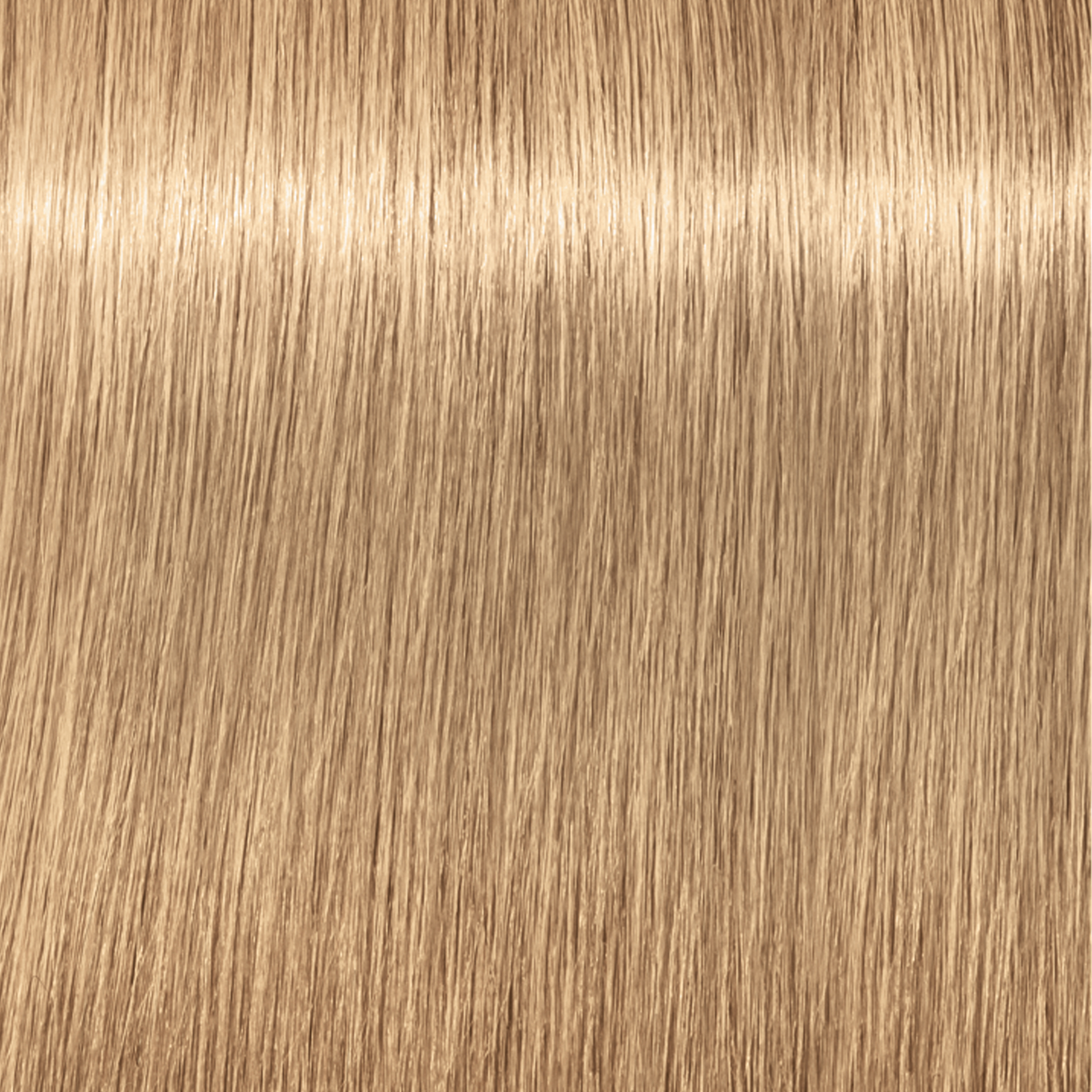 Schwarzkopf Igora Royal  - 1-0 Noir