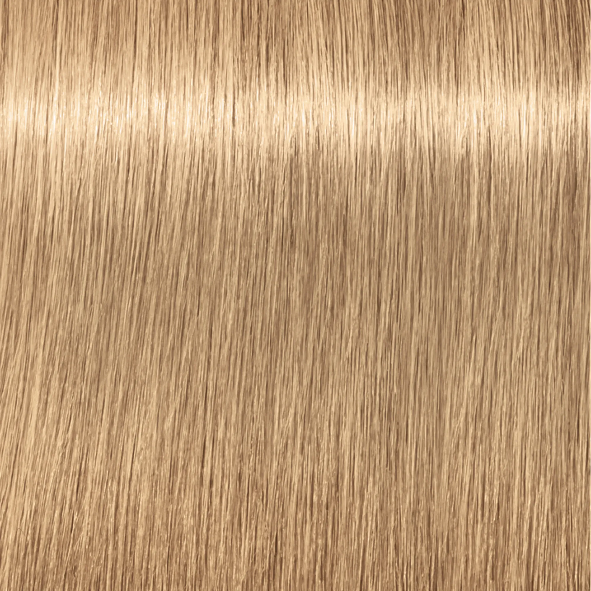 Schwarzkopf Igora Royal  - 1-0 Noir