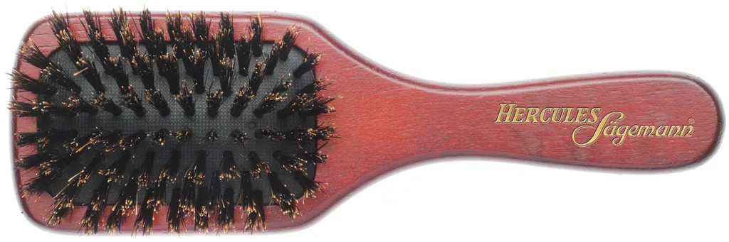 Hercules Sägemann Paddle Brush