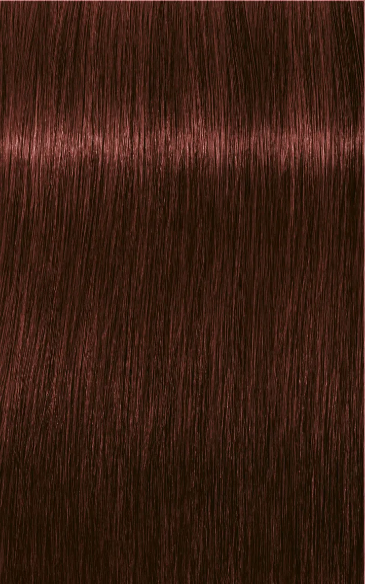 Schwarzkopf Igora Royal Absolutes - 4-60 Châtain moyen marron naturel