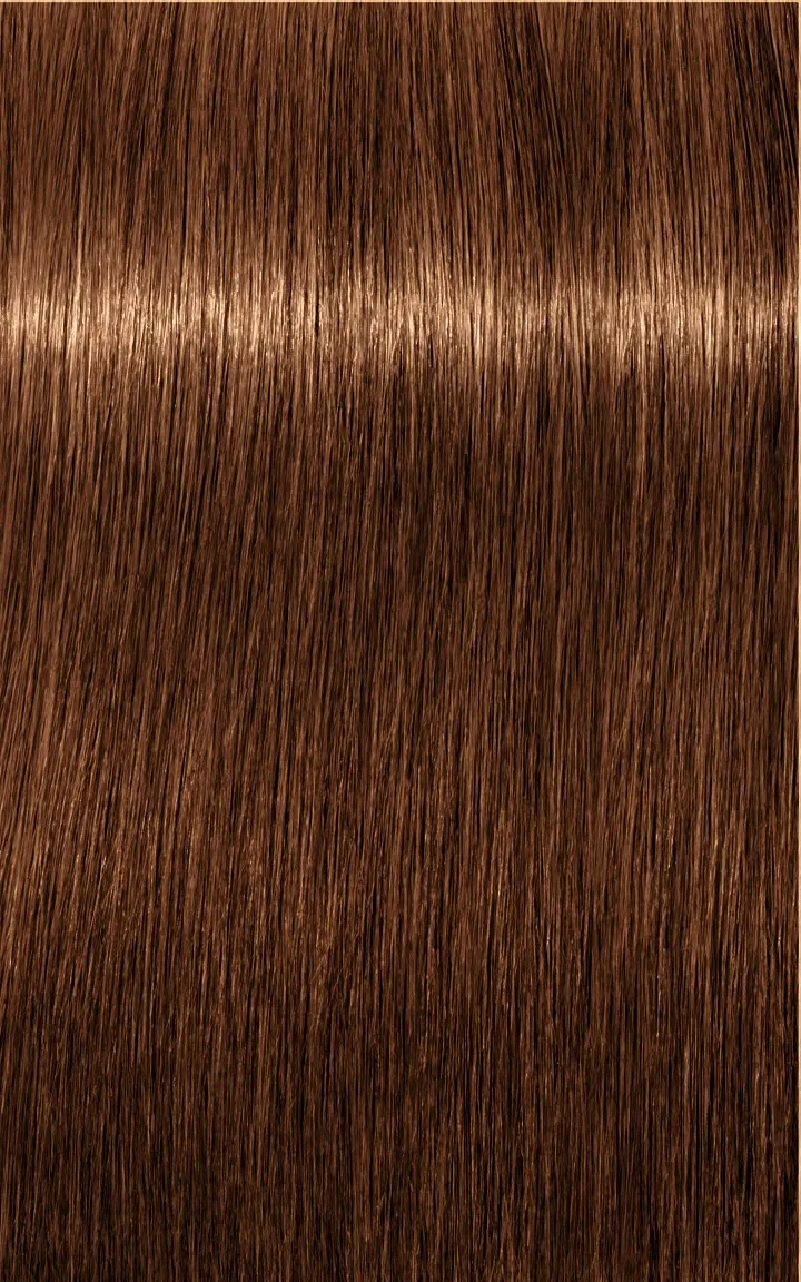 Schwarzkopf Igora Royal Absolutes - 4-60 Châtain moyen marron naturel