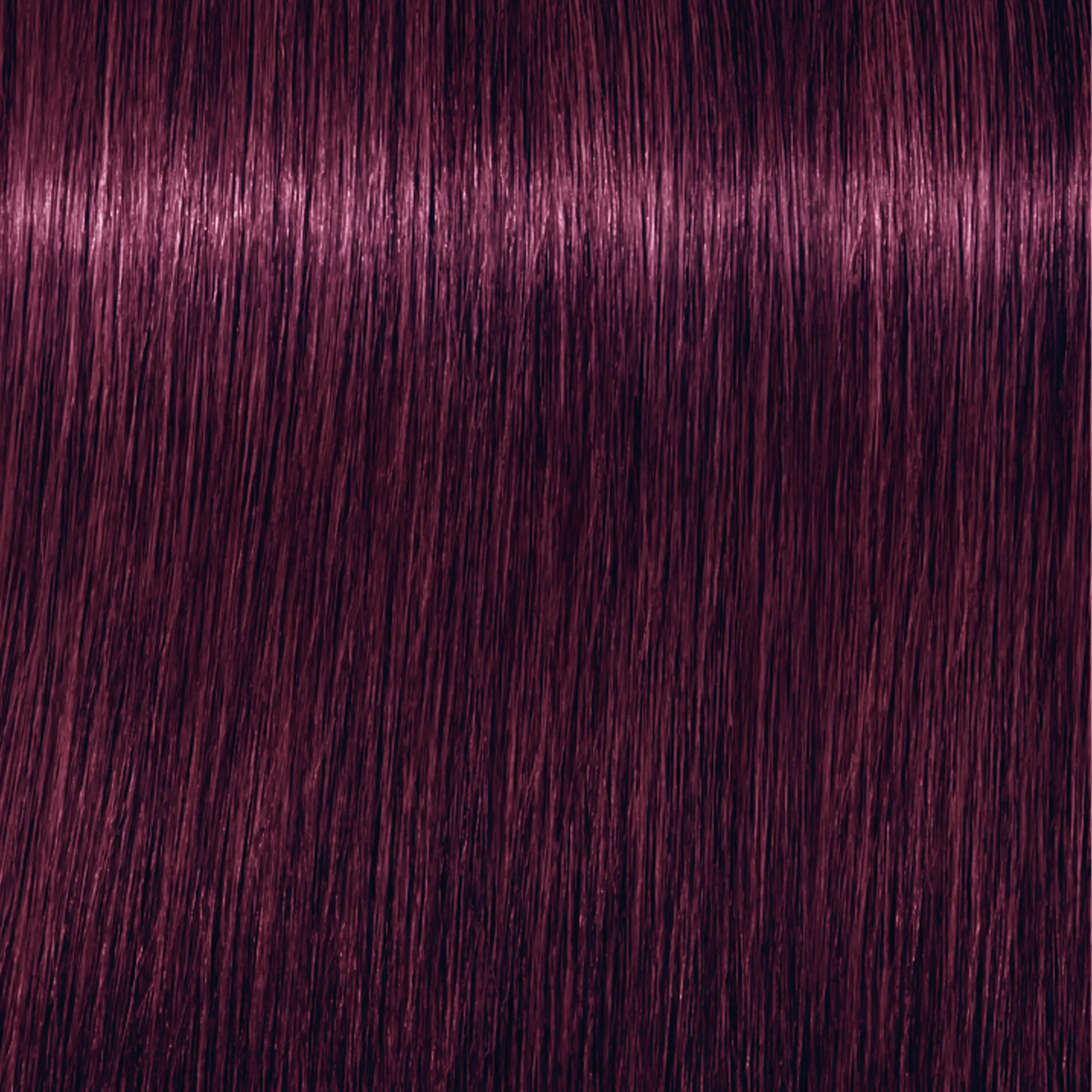Schwarzkopf Igora Royal  - 1-0 Noir