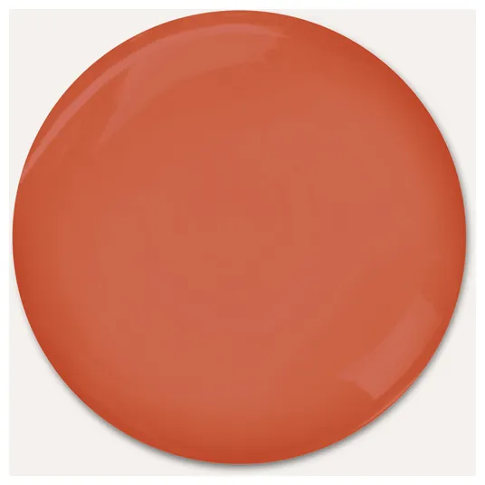 Rausch Shampoo Spécial à la saule