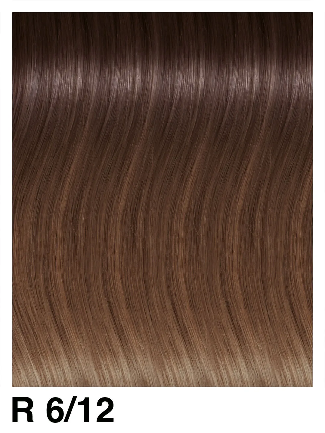 SHE Clip System Beverly Extensions Rooted 45/50 cm