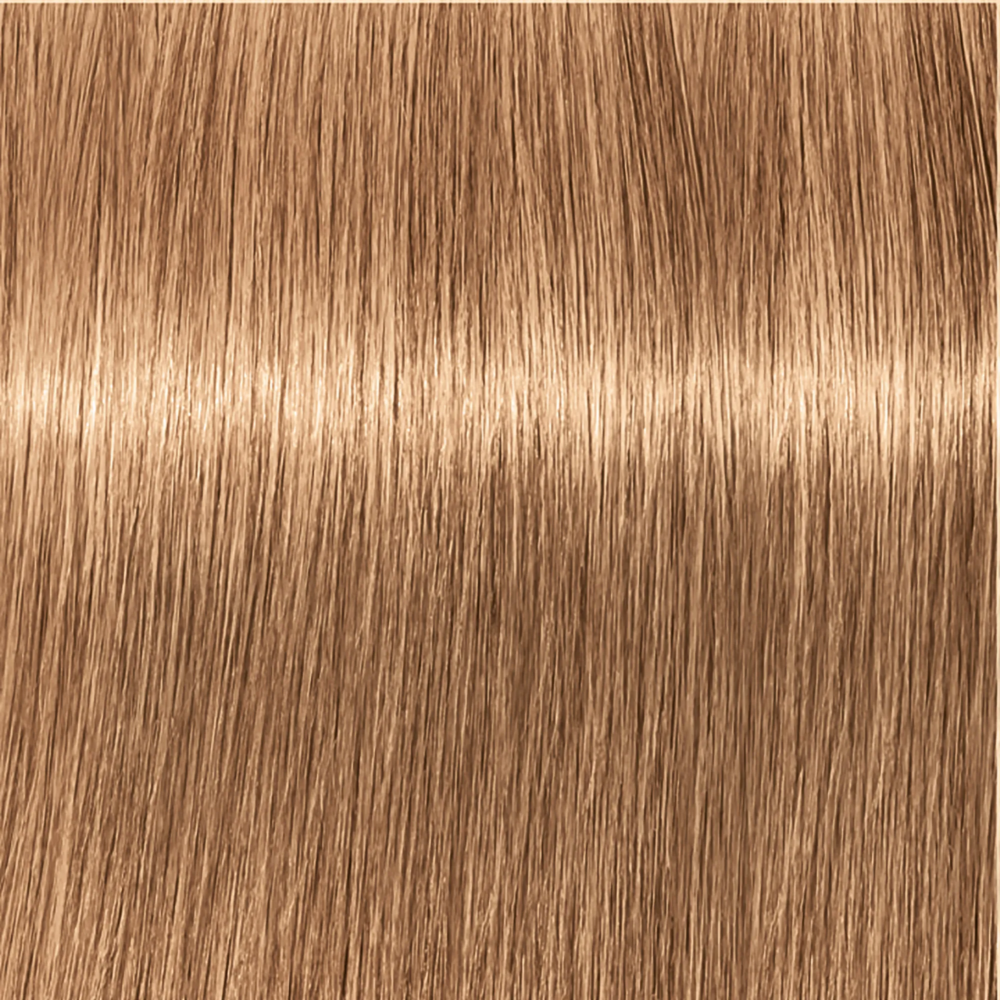 Schwarzkopf Igora Royal  - 1-0 Noir