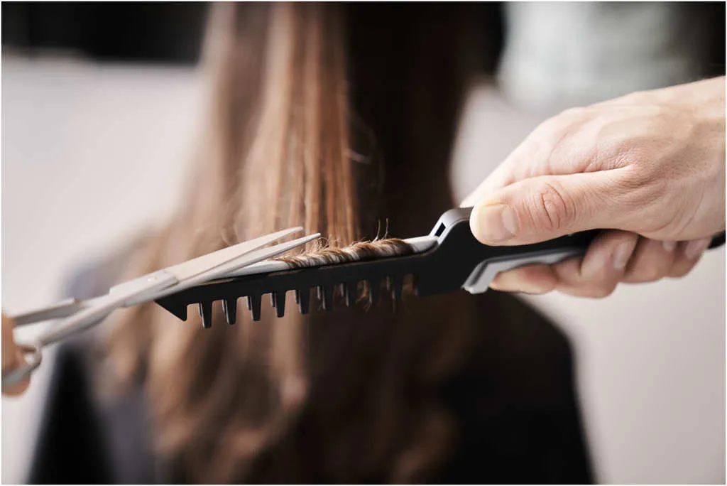 Hercules Sägemann Splissart Peigne anti-fourches