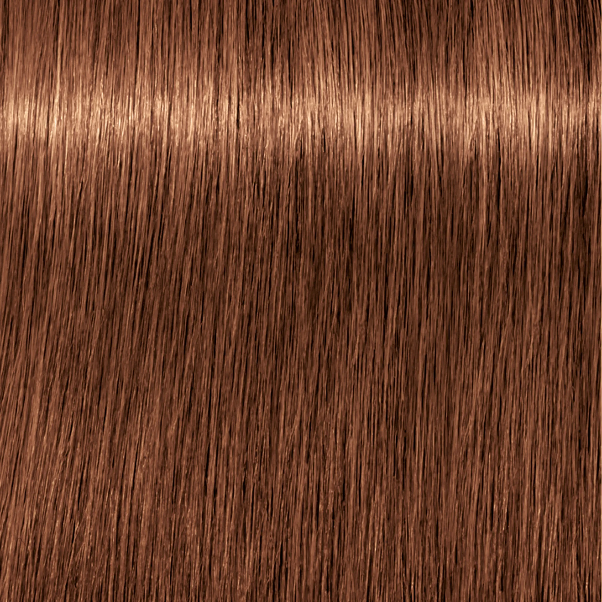 Schwarzkopf Igora Royal  - 1-0 Noir