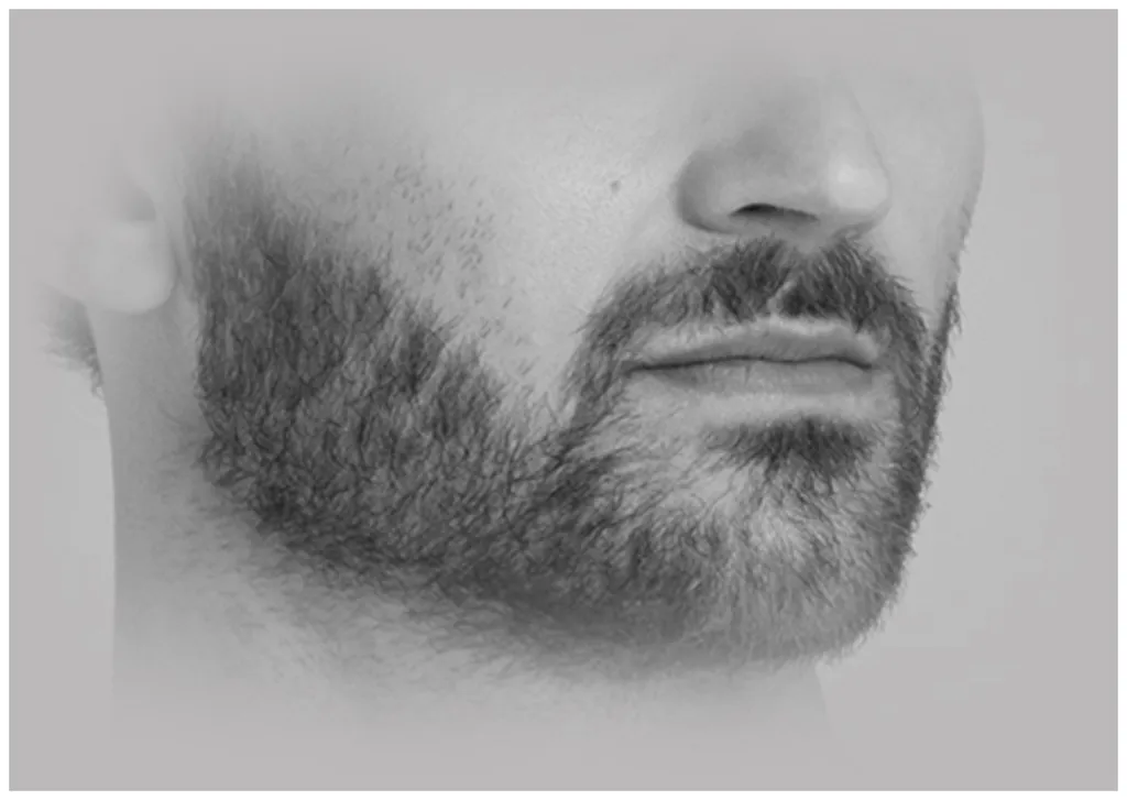 Remington Graphite G4 Tondeuse Multifonction PG4000