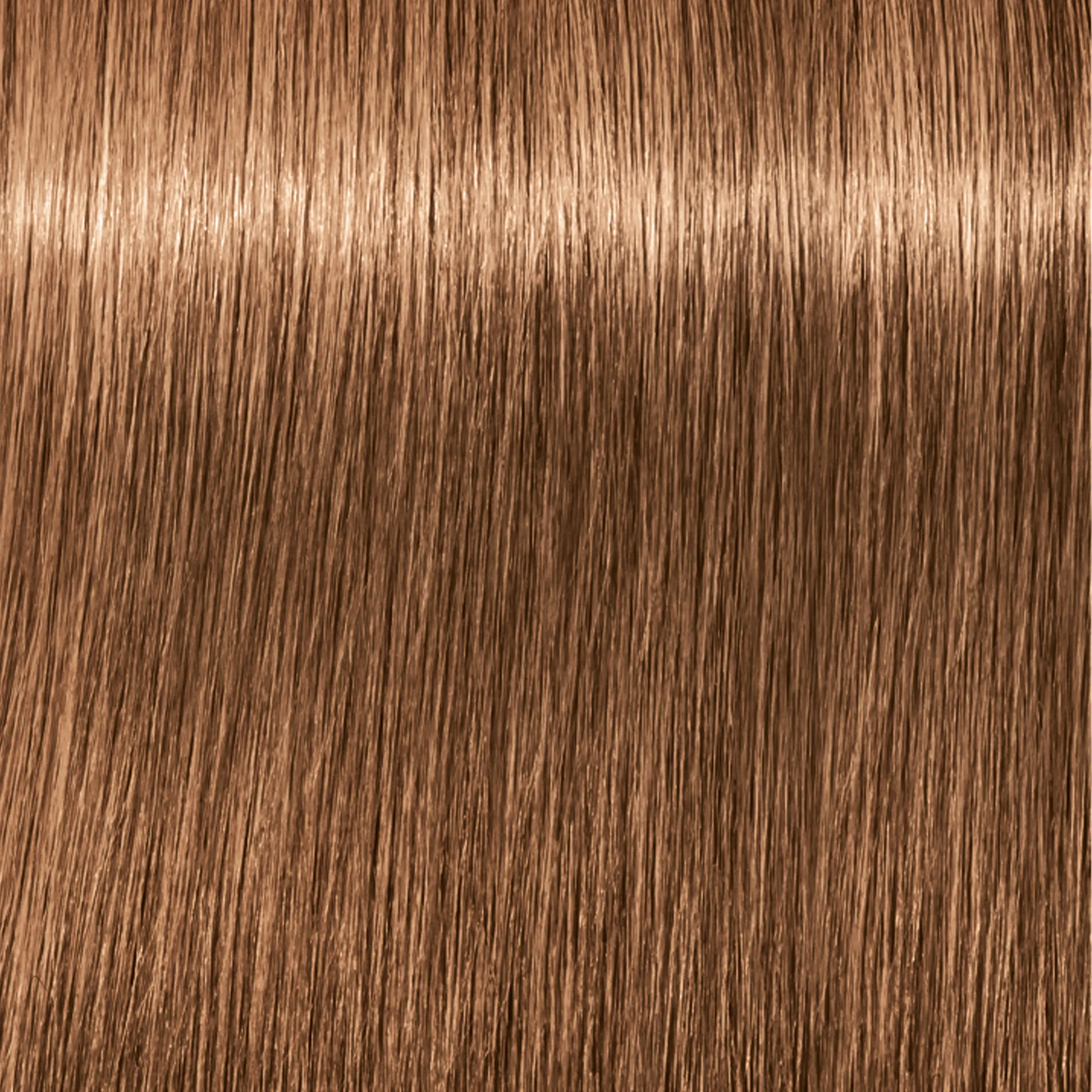 Schwarzkopf Igora Royal  - 1-0 Noir