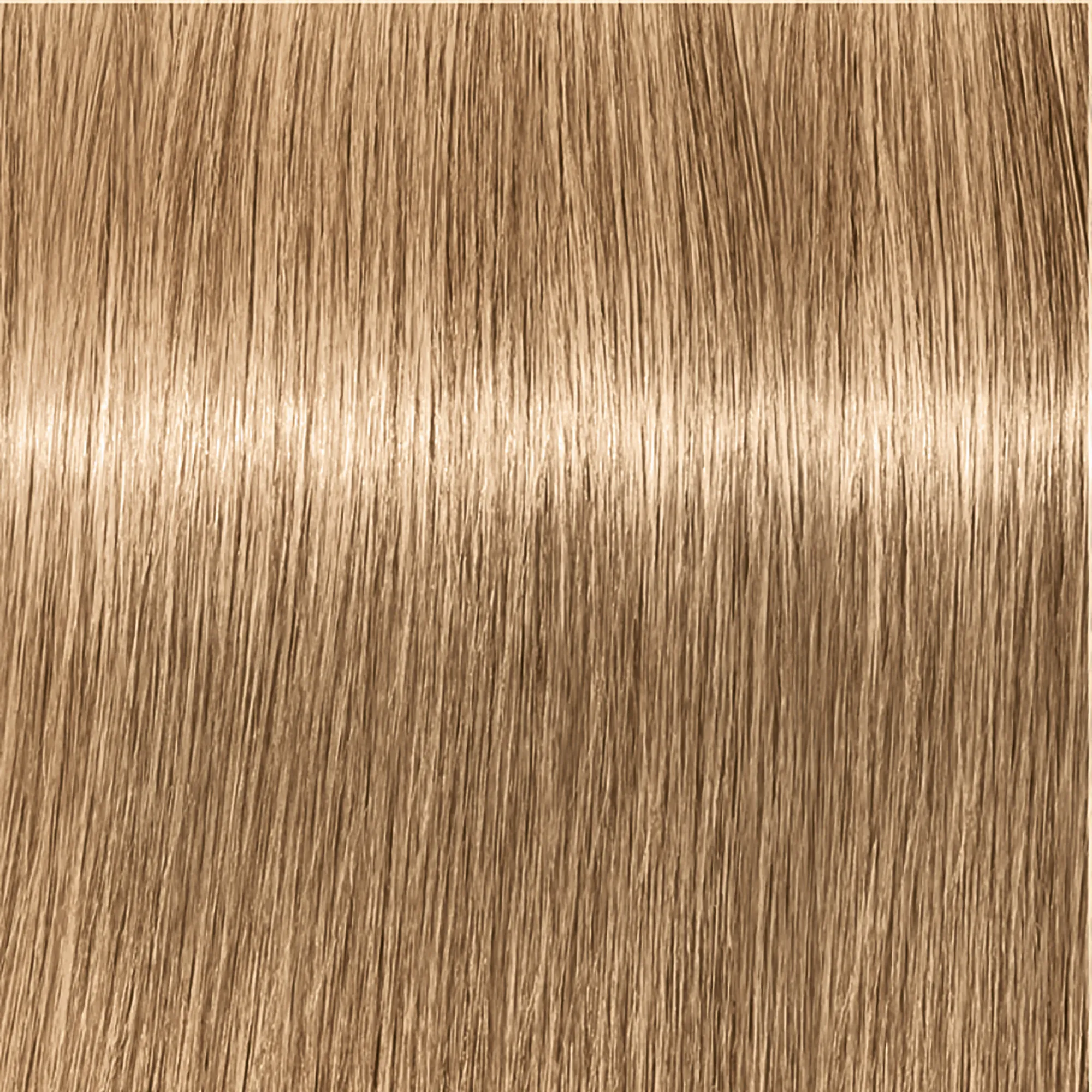 Schwarzkopf Igora Royal  - 1-0 Noir