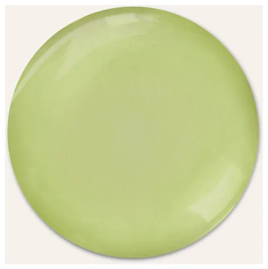 Rausch Fett-Stopp Shampoo avec algues marines