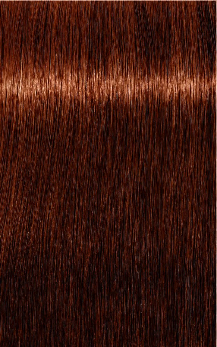 Schwarzkopf Igora Royal Absolutes - 4-60 Châtain moyen marron naturel