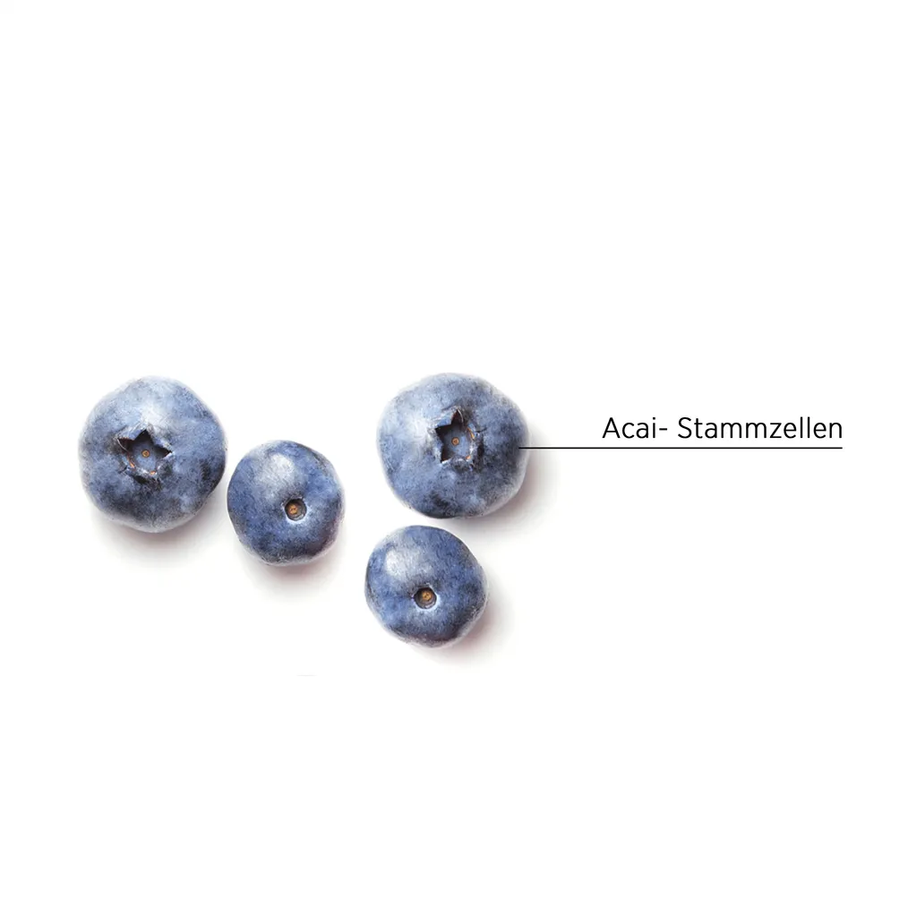 System Professional Lipid Code Nativ Pré-shampooing à l'argile