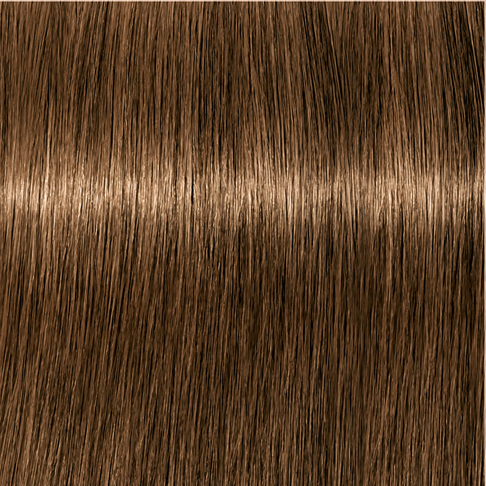 Schwarzkopf Igora Royal  - 1-0 Noir