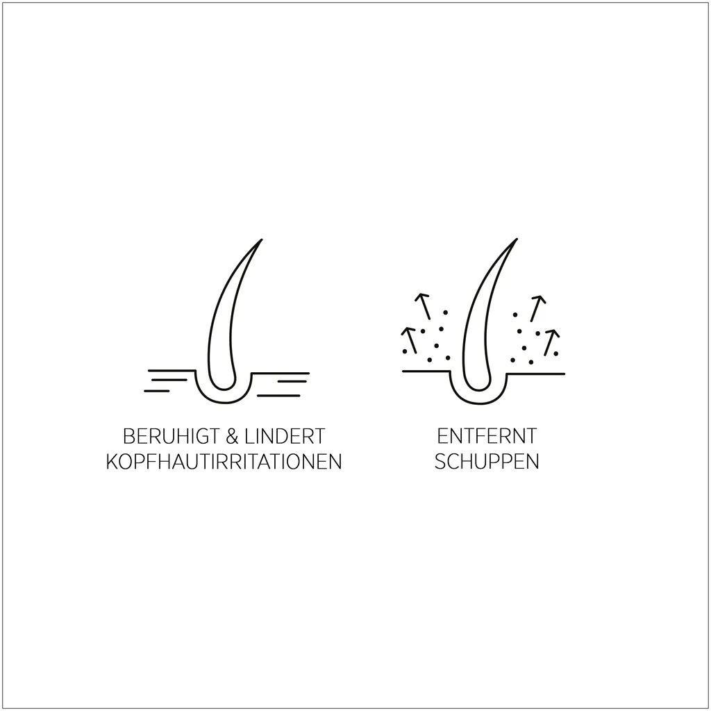 System Professional Lipid Code Purify Lotion antipelliculaire sans rinçage