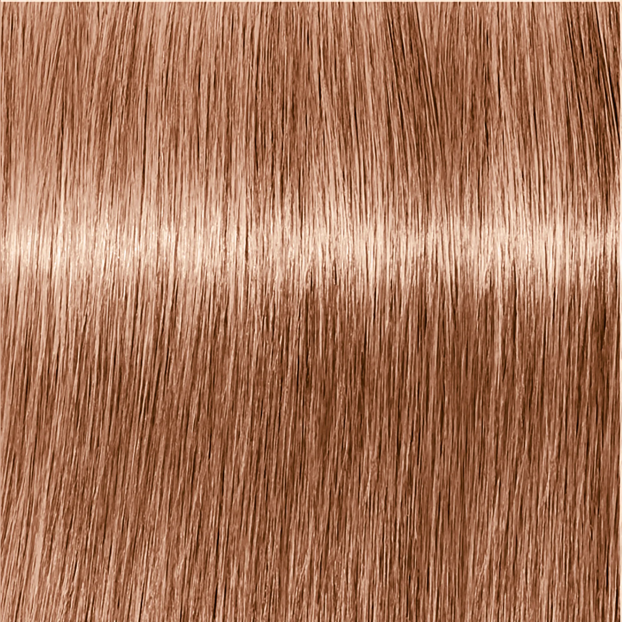 Schwarzkopf Igora Royal  - 1-0 Noir
