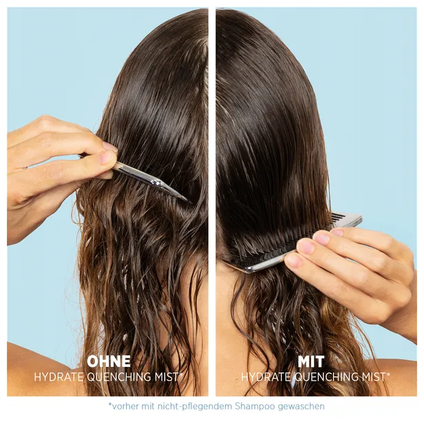 System Professional Lipid Code Hydrate Quenching Mist Brume hydratante