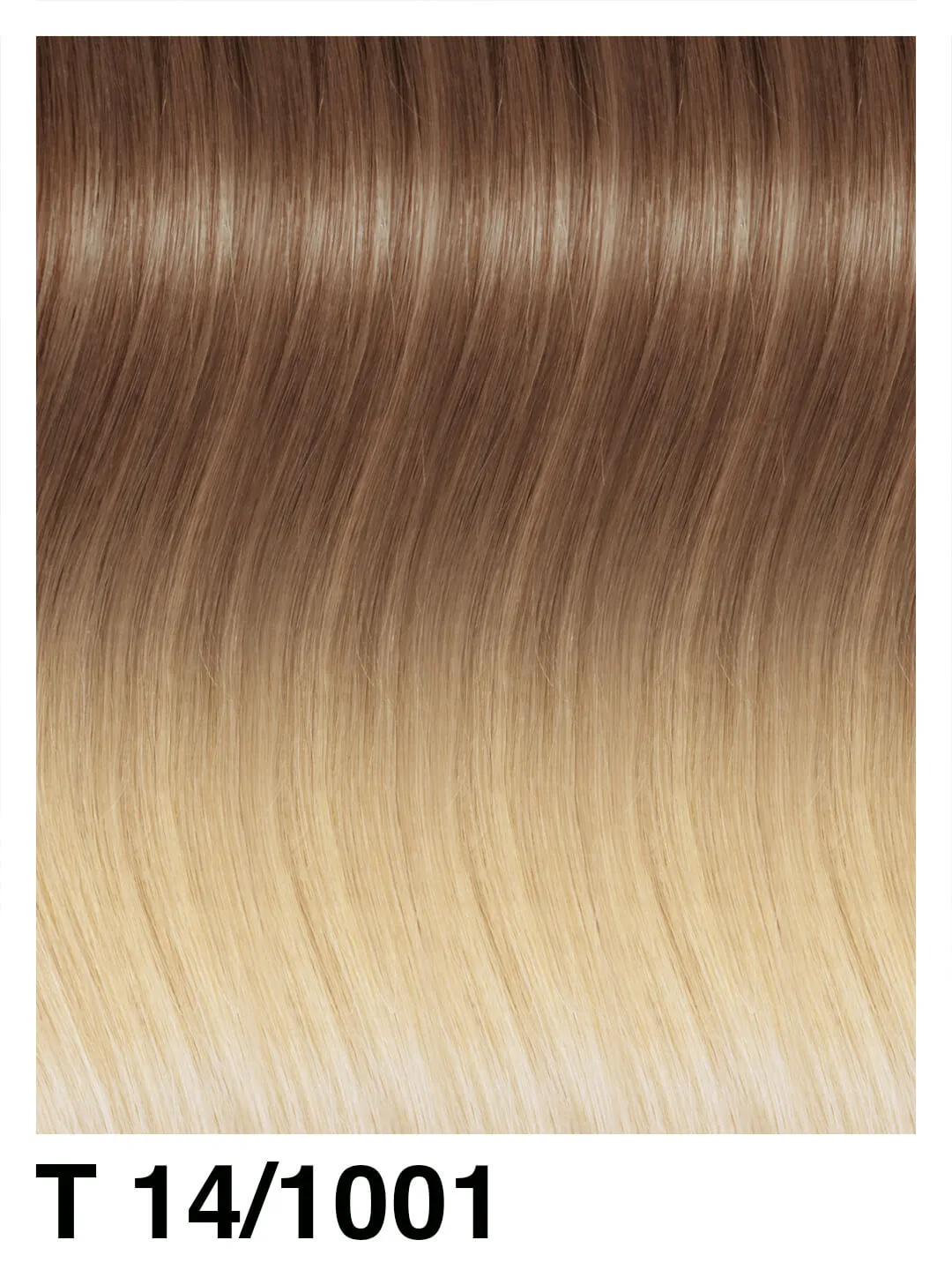 SHE Weft Shatush Extensions 50/55cm