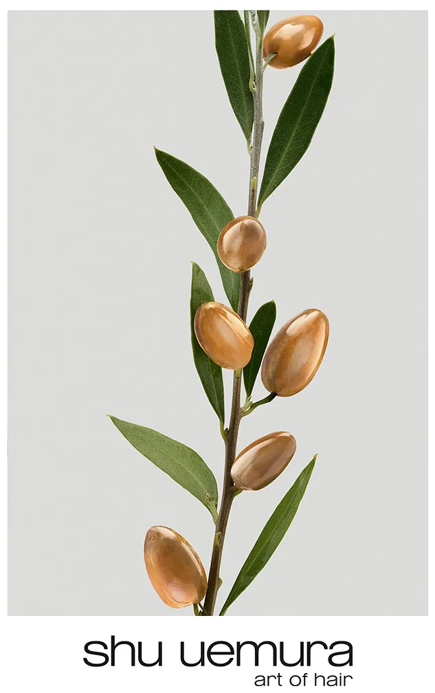 Masque Silk Bloom Shu Uemura