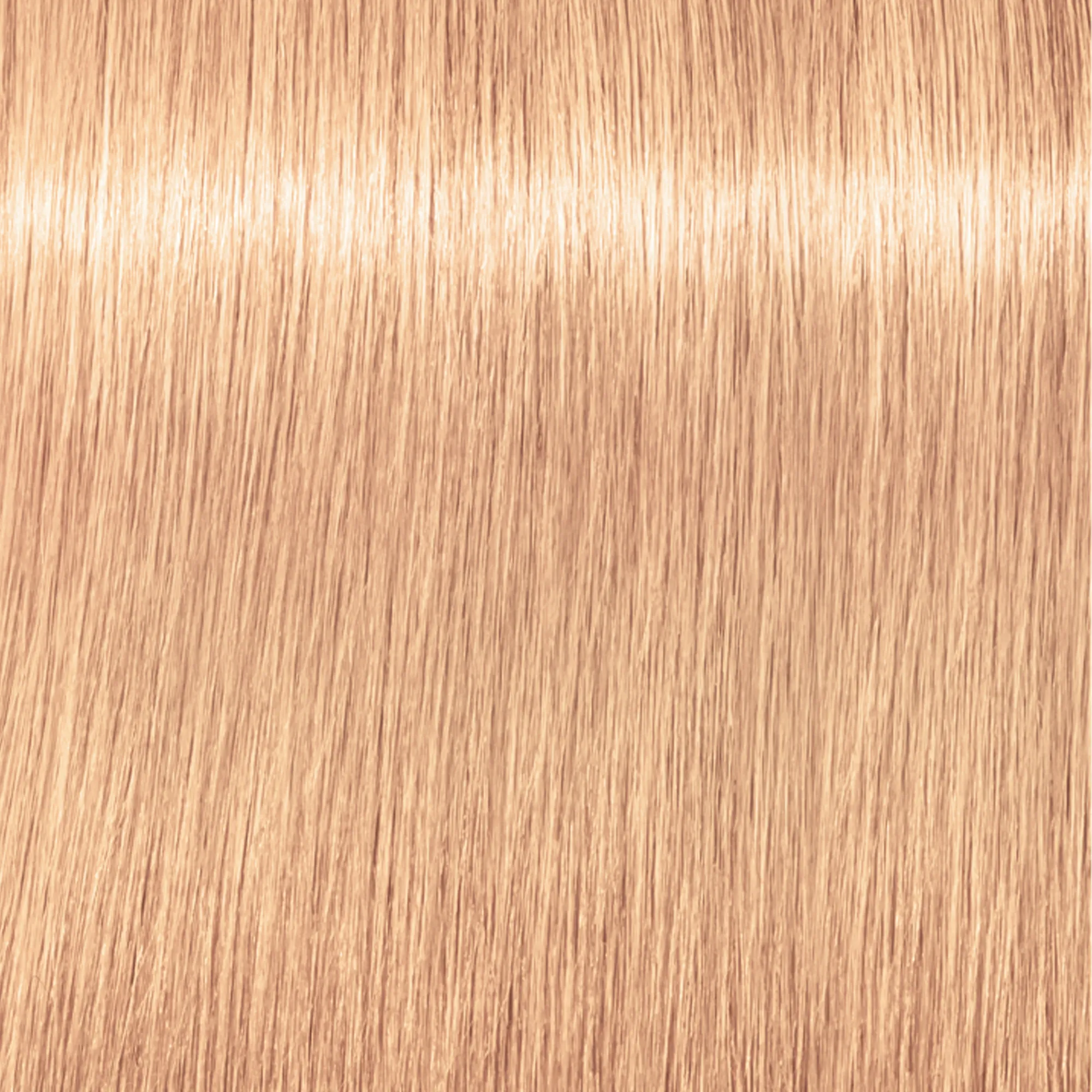 Schwarzkopf Igora Royal  - 1-0 Noir