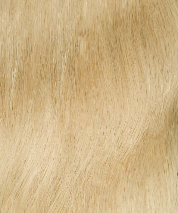 Gold Fever Extensions 45 cm