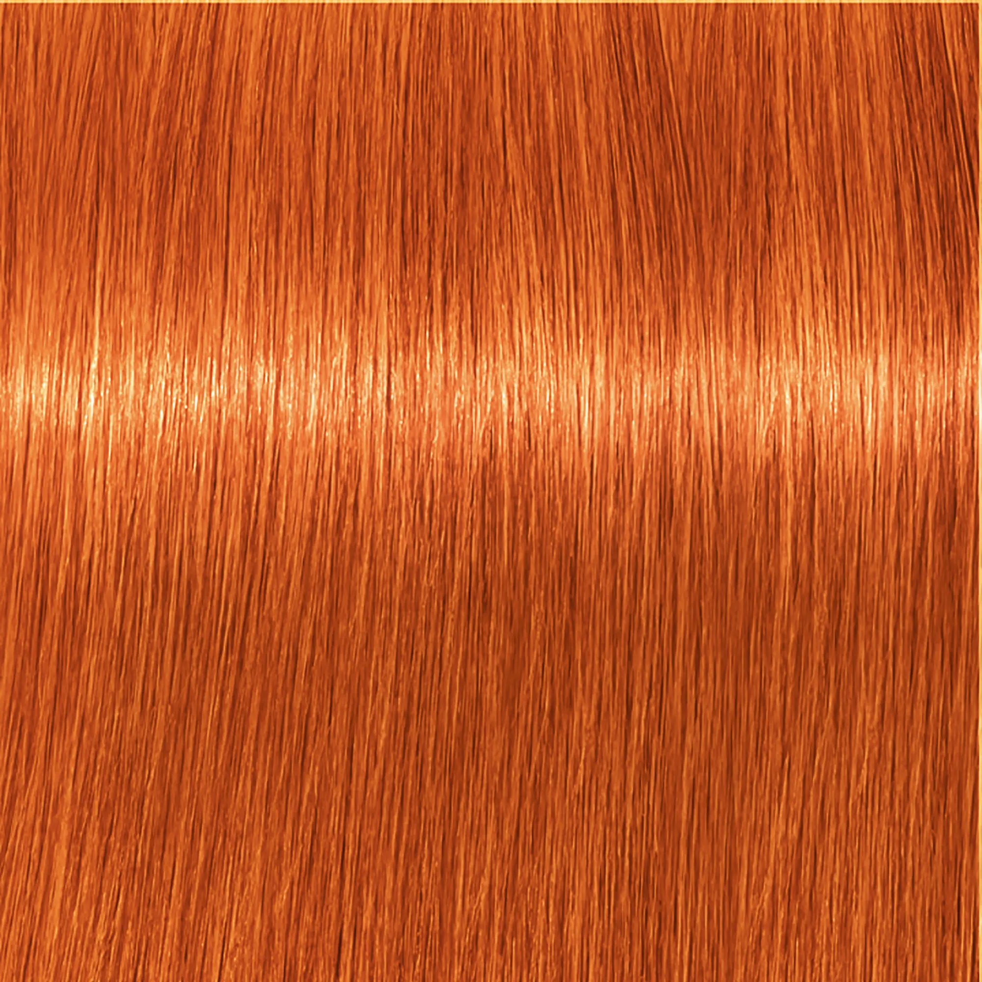 Schwarzkopf Igora Royal  - 1-0 Noir
